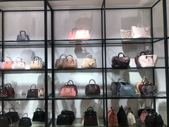 -COACH蔻驰(盛京奥特莱斯店)