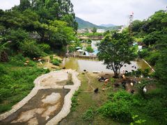 -泉州海丝野生动物世界