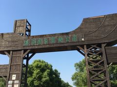 -溱湖国家湿地公园