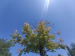 -汉长安城未央宫国家考古遗址公园