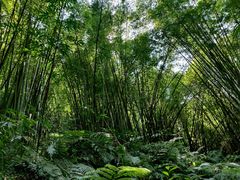 -四洞沟景区