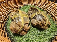 -成隆行·蟹王府(九江路店)