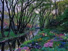 -上海共青森林公园