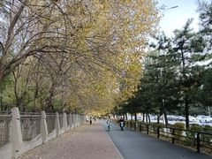 -辽宁大学(崇山校区)