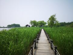 -苏州太湖湖滨国家湿地公园