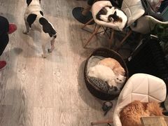 -小时光咖啡馆(北锣鼓巷店)