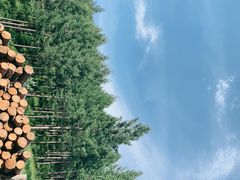 -塞罕坝国家级自然保护区