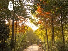 -乐咖啡西餐厅(太湖皇冠假日酒店)