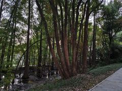 -东湖落雁景区