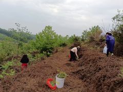 -郴州特产舜华临武鸭(郴州西站店)