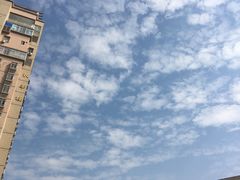-坂田天虹