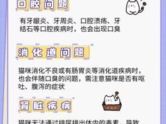 -御宝贝·A梦猫科宠物医院(国际猫友好医院)