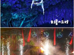 -广州长隆国际大马戏