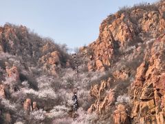 -北京凤凰岭