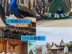 -呀路古热带植物园