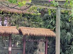 -天赐温泉