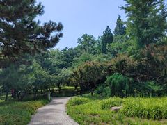 -玲珑塔公园