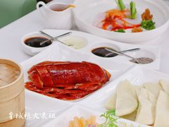 -梧桐