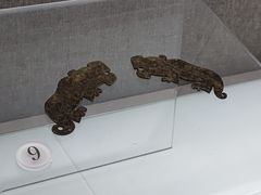 -信阳博物馆