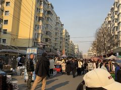 -哈尔滨道外花鸟鱼市场