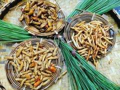 -昆虫窝子·特色云南菜(拓东路总店)