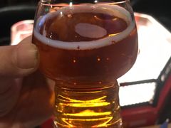 -Boxing Cat Brewery拳击猫精酿啤酒馆(永福店)