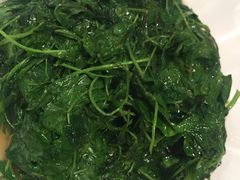 -阿英煲(凉城路店)