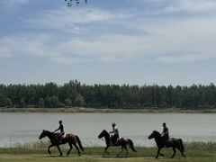 -东方之珠洗浴休闲广场(南开店)
