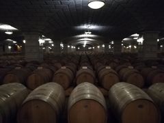 -紫轩葡萄酒庄园