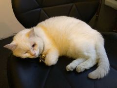 -Doors独立剧情密室(东门分店)