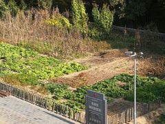 -延安杨家岭革命旧址