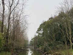 -上海滨江森林公园