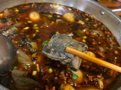 -黑竹香鸡(营和巷店)