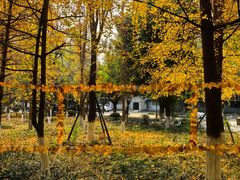 -成都中医药大学(温江校区)