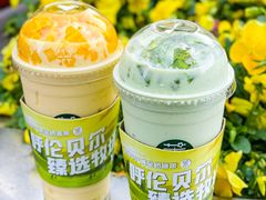 -茉酸奶(春熙路店)