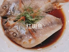 -富瑶大酒店(强工二街店)