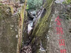 -花岩国家森林公园