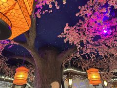 -荷塘秋月·本帮江浙菜(国权路店)