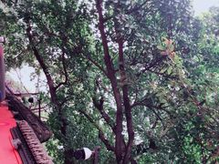 -成都武侯祠博物馆