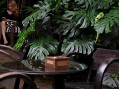 -Fern Forest Cafe