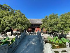 -香山公园