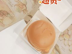 麦香鱼-麦当劳(火车北站餐厅)