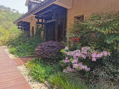 -黄陂区野村谷景区