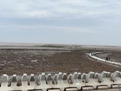 -南汇嘴观海公园