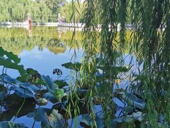 -丰台花园