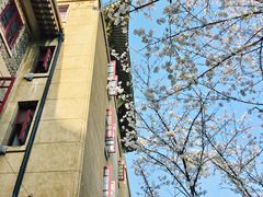 -武汉大学-樱园