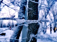 -中旅松花湖滑雪场