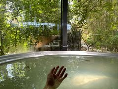 -春晖园度假酒店温泉