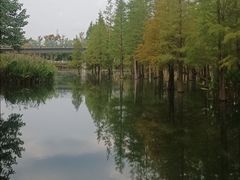 -白鹭湾湿地公园