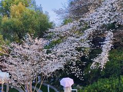 -杭州少年儿童公园